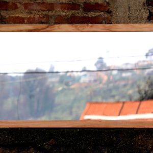Espejo Sen en Lenga