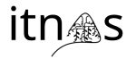logo_itnas_black